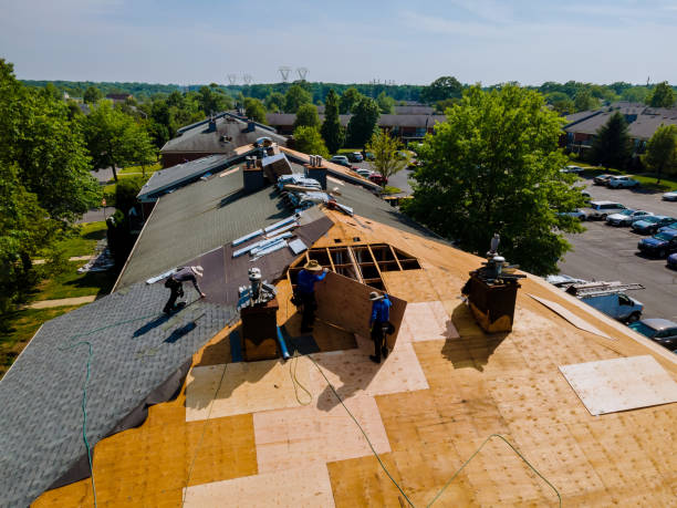 Best Roof Gutter Cleaning  in Mount Hore, WI