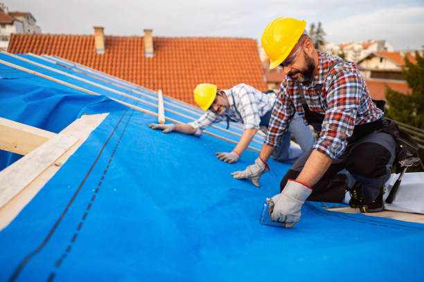 Best Roof Restoration Services  in Mount Hore, WI